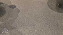 Public Restroom Licked Clean