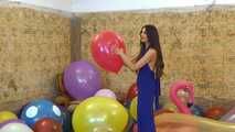 Ginevra 11