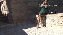 016226 Eve Takes Her Second Stealth Pee Amongst The Crowds