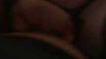 massive horny