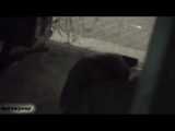 HIDDEN CAM AND FUCKING COUPLES