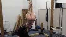 Public Suspension Demo for Azooka