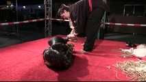 BoundCon XI - Bondage Challenge Stage
