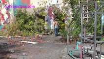 020169 Kathy Pees From An Old Platform