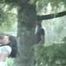 VOYEURFUN 1701