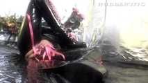 Avengelique & Vexis: Heavy Rubber Present Pt.1