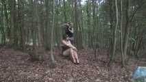 Ayu tree tied 1/2