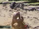 HIDDEN CAM AND FUCKING COUPLES
