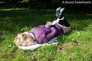 Ginger blindfold in the forest