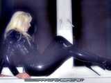 Black Cat