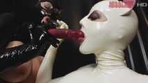 Gummi-Wildkatzen 2