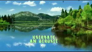 USERFICK AM BERGSEE
