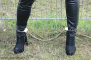 The fence problem