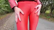 Horny red on the highway
