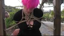 Outdoor Longterm Challenge for Nova Pink