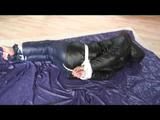 02:40 Min. video with Alina tied and gagged in shiny downwear