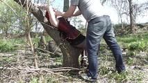 Sina tied to tree