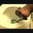 Toilet flushing chocolate cake logs 