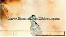 BoundCon XII - Custom Photo Shooting - Saturday Night Special - Part 2