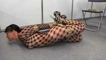 Double Hogtie