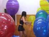 dany 211
