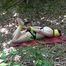 Aurora mit gelben Klebeband im hogtie 2/2