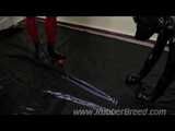 Bad Puppy Training