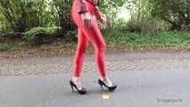 Horny red on the highway