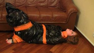 [From archive] Stella - hogtaped in orange duct tape and packed into the trash bag and escapes
