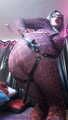 Selfitime  pink Cheeta