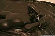 Ball Hood Session