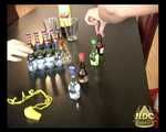 HDC Project - The Persuaders