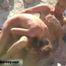 VOYEURHORNY 005
