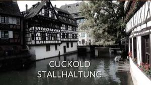CUCKOLD CONFINEMENT