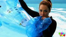 721 A little bit fun with a dolphin