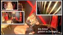 Köter muss zurück ins Käfig!