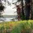 VOYEURFUN 1871