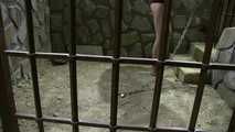 Muriel in the new Cell