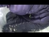 03:00 Min. video with Nina tied and gagged in a shiny nylon downjacket