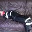 ***NEW MODELL COURTNEY*** wearing a sexy black shiny nylon rain pant and a a black rain jacket being tied and gagged with tape and a ballgag on a sofa (Video)