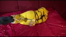 Lucy tied, gagged and hooded on a sofa with dark ropes wearing a sexy yellow rainwear combination (Video)