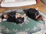 [From archive] Elvina & Sara - rope ball tie and black cling film wrap BTS