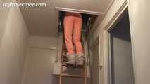 078116 Rachel Pees From The Loft Ladder    
