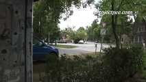 050033 Roxy Takes A Desperate Pee By The Apartment Building
