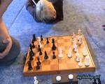 Chess 4