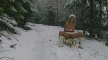 WHITE CHRISTMAS 1