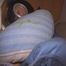 POV Anal fuck in the ass with horny nylon blow POV 