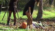Happy Halloween! Pumpkin head sitting