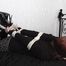 Lucy hogtied on bed 2/2