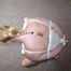 Chairtied in cuffs and ropes